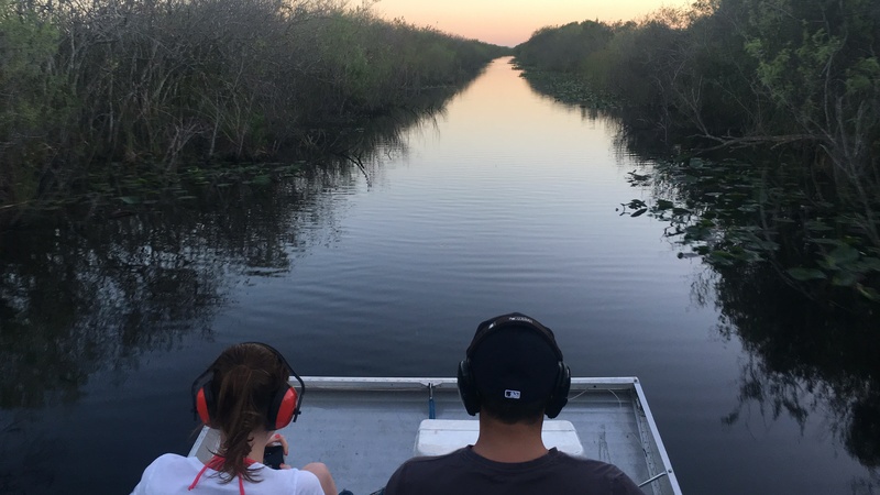 everglades airboat tour